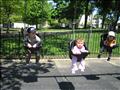 2008-05-17 10-17-06_0007